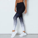 Gradient Color Leggings